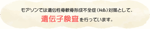 モアソンでは遺伝性骨軟骨形成不是印象（Hdb）対策として、遺伝子検査を行っています